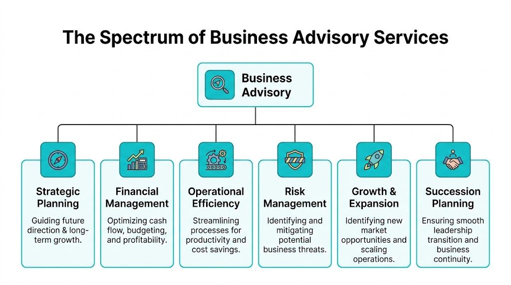 A diagram illustrating the various categories within the spectrum of business advisory services including strategic and financial planning.